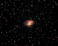 M1 Crab Nebula